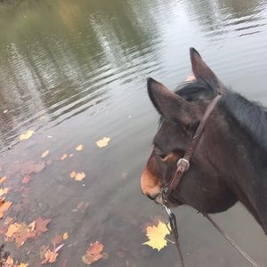 Meet your Posher, Casey